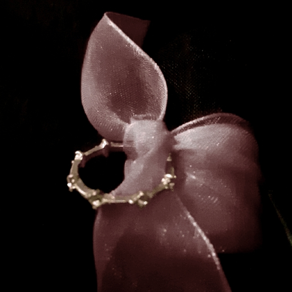 Jewelry Ring